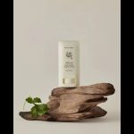 استیک ضدآفتاب مات بیوتی آف جوسان مدل Mugwort + Camelia | Beauty of Joseon Matte Sun Stick SPF50+ PA++++ - Image 3